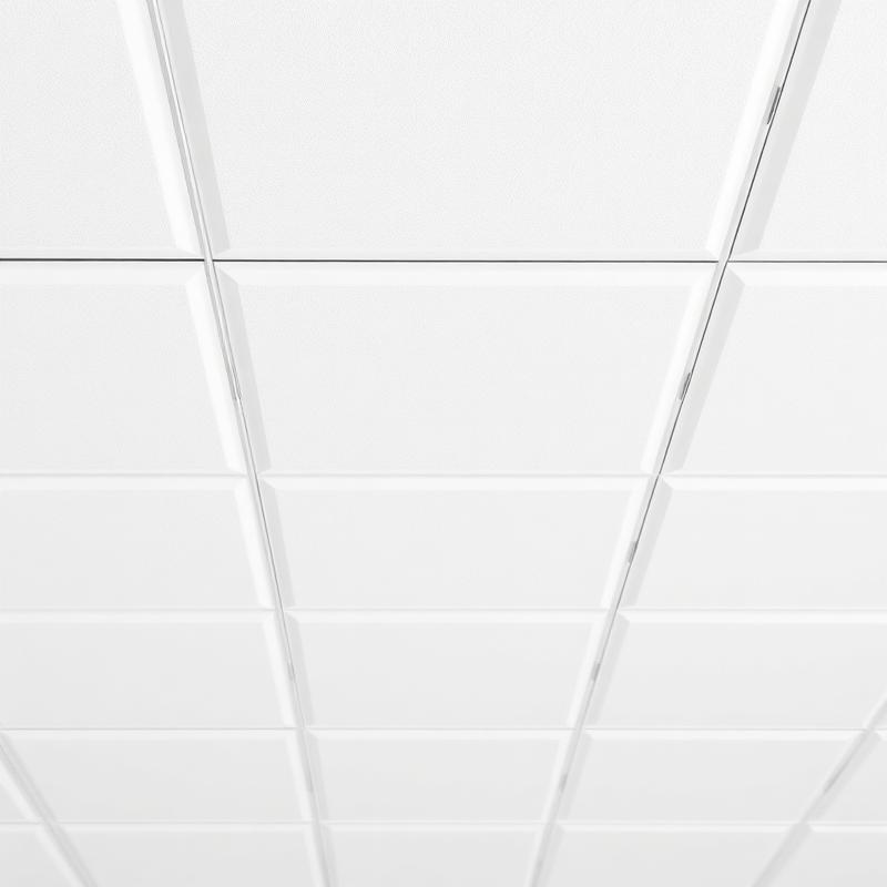 Forro Modular Removível Gyplean